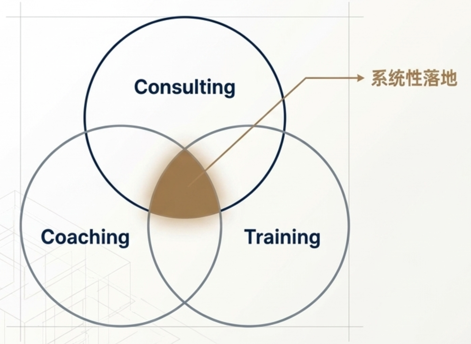 CCT领航系统：Consulting × Coaching × Training